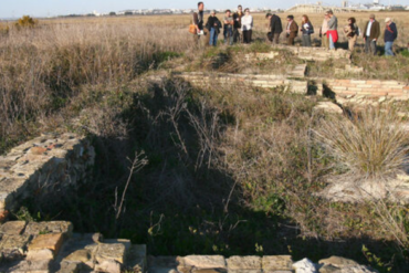 destacadas platalea (3)